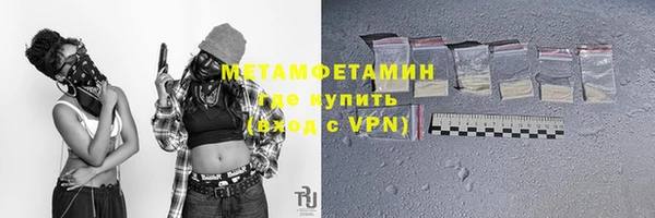 трава Пересвет