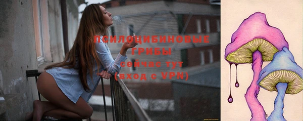трава Пересвет