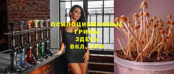 МДПВ Покров