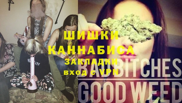 трава Пересвет