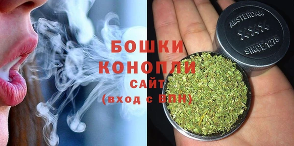 дурь Ессентукская